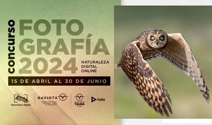 Naturaleza Digital 2024