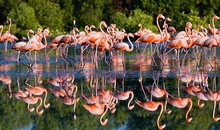 Parque Nacional Caguanes