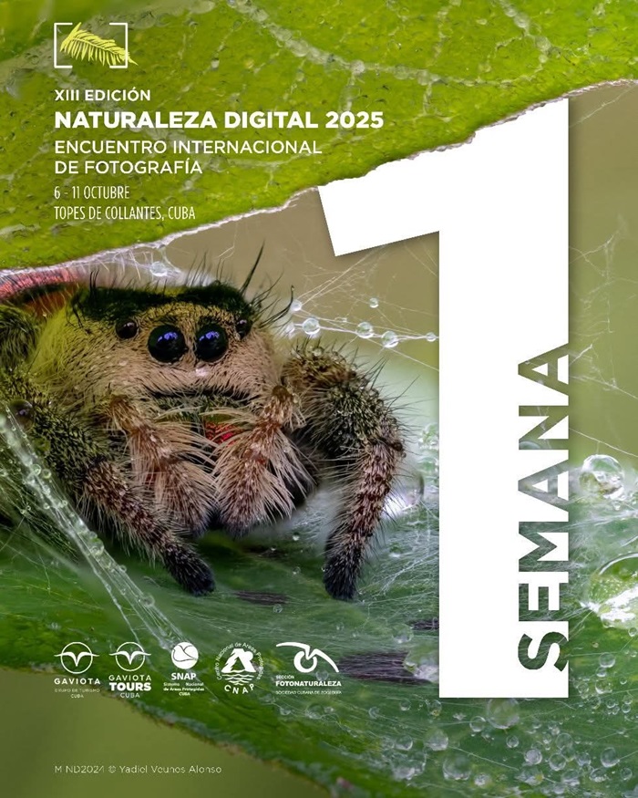 Naturaleza Digital